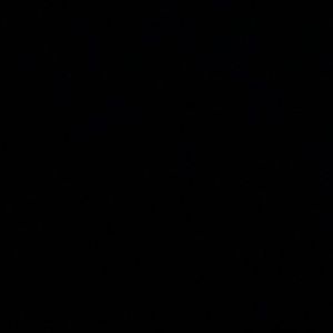 Meet your Posher, Nicholas